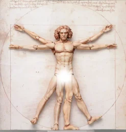 figma Vitruvian Man (The Table Museum) (Rerelease)