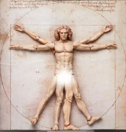 figma Vitruvian Man (The Table Museum) (Rerelease)