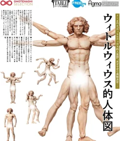 figma Vitruvian Man (The Table Museum) (Rerelease)