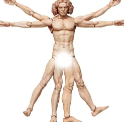 figma Vitruvian Man (The Table Museum) (Reissue)