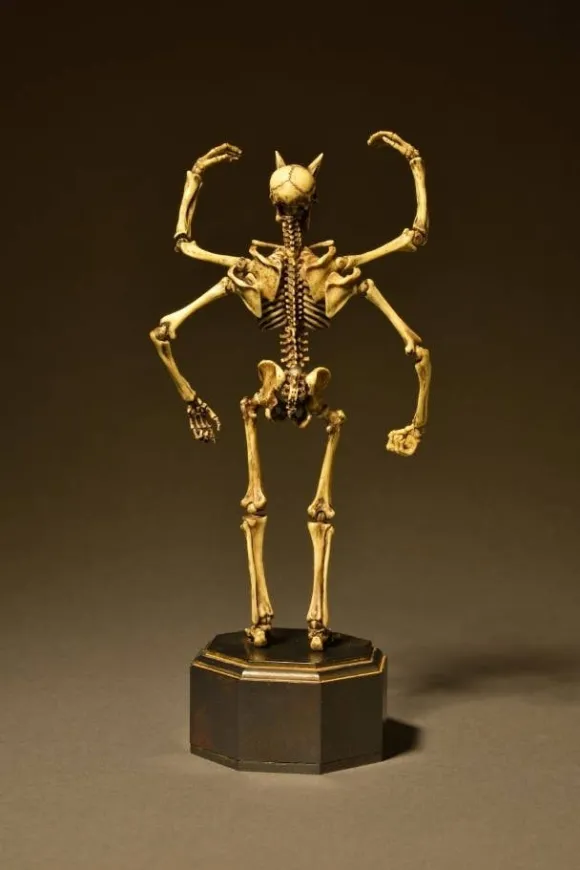 KT Project Takeya Style Jizai Okimono: Skeleton Color Ver.