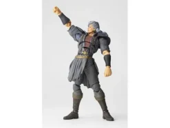 Legacy of Revoltech Shu
