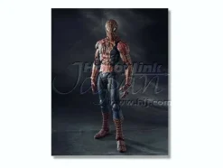 Movie Realization Spider-Man & Black Spider-Man