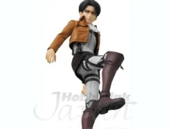 RAH Levi
