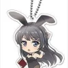 Rascal Does Not Dream of Bunny Girl Senpai: Nendoroid Plus Acrylic Stand Mai Sakurajima 2
