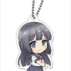 Rascal Does Not Dream of Bunny Girl Senpai: Nendoroid Plus Acrylic Stand Shoko Makinohara 1