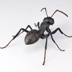 REVO GEO Camponotus japonicus (Black Carpenter Ant) (set of 2)
