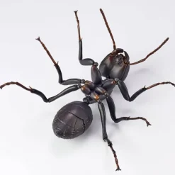 REVO GEO Camponotus japonicus (Black Carpenter Ant) (set of 2)