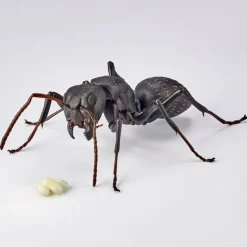 REVO GEO Camponotus japonicus (Black Carpenter Ant) (set of 2)