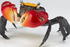 Revo Geo Chiromantes Haematocheir (Red-Clawed Crab)