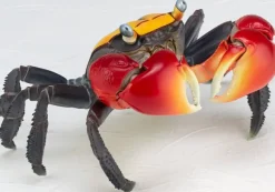 Revo Geo Chiromantes Haematocheir (Red-Clawed Crab)
