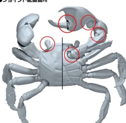 Revo Geo Chiromantes Haematocheir (Red-Clawed Crab)