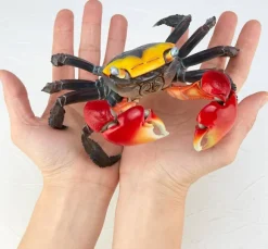 Revo Geo Chiromantes Haematocheir (Red-Clawed Crab)