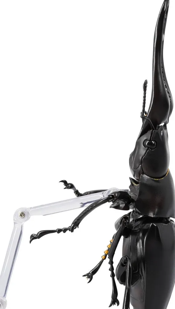 Revogeo Prosopocoilus Giraffa / Giraffe Stag Beetle