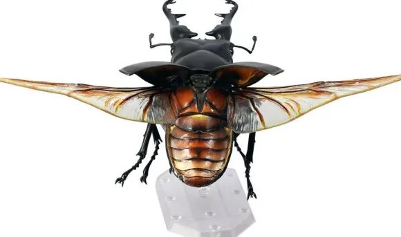Revogeo Prosopocoilus Giraffa / Giraffe Stag Beetle