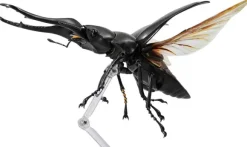 Revogeo Prosopocoilus Giraffa / Giraffe Stag Beetle