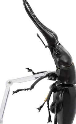 Revogeo Prosopocoilus Giraffa / Giraffe Stag Beetle