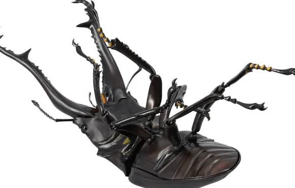 Revogeo Prosopocoilus Giraffa / Giraffe Stag Beetle