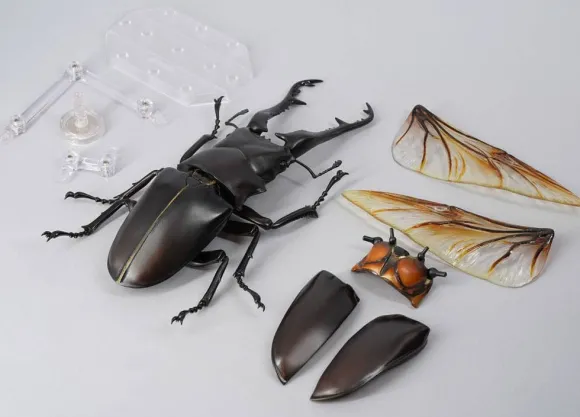 Revogeo Prosopocoilus Giraffa / Giraffe Stag Beetle