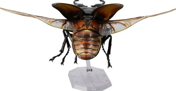 Revogeo Prosopocoilus Giraffa / Giraffe Stag Beetle