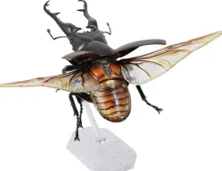 Revogeo Prosopocoilus Giraffa / Giraffe Stag Beetle