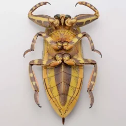 Revogeo Water Bug Tagame