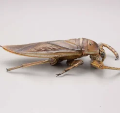 Revogeo Water Bug Tagame