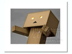 Revoltech Danboard