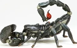 Revoltech Geo Pandinus Imperator (Emperor Scorpion)