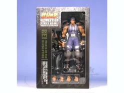 Revoltech Hokuto no Ken Revolution Rei