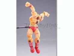 Revoltech SFO Zangief