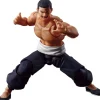 S.H.Figuarts Aoi Todo