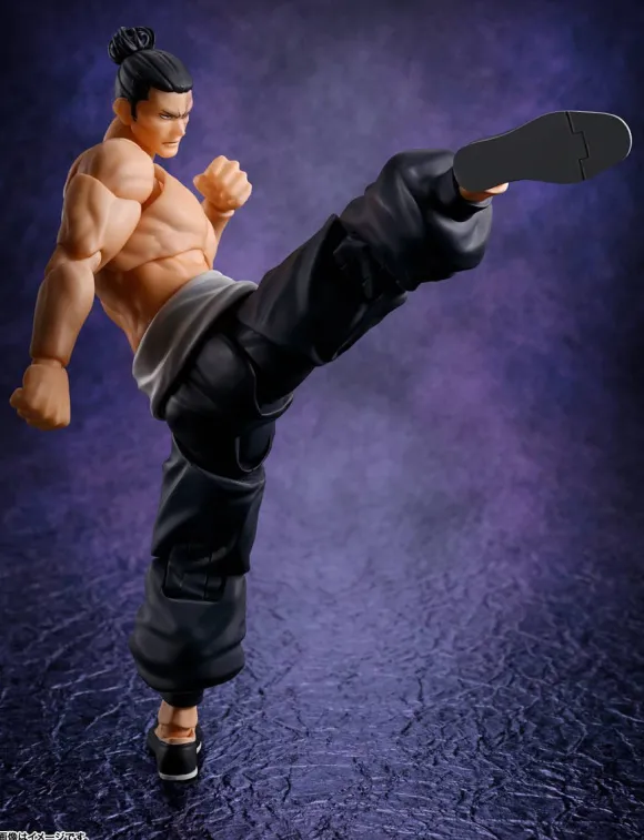 S.H.Figuarts Aoi Todo