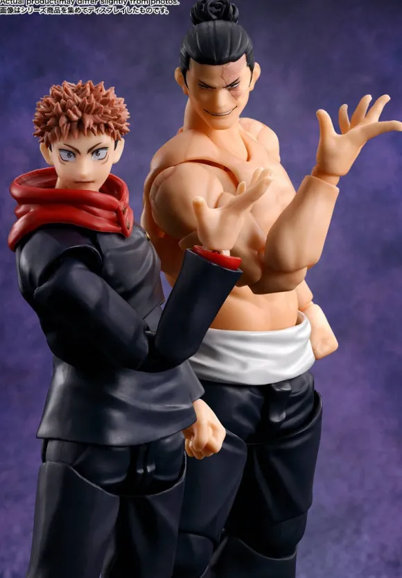 S.H.Figuarts Aoi Todo