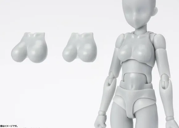 S.H.Figuarts Body-chan -School Life- Edition DX SET (Gray Color Ver.)