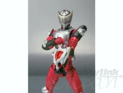 S.H.Figuarts Kamen Rider Ryuki & Dragreder Set
