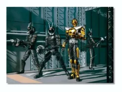 S.H.Figuarts Kamen Rider TheBee