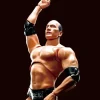 S.H.Figuarts The Rock