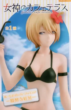 The Cafe Terrace and Its Goddesses: Noodle Stopper Figure Akane Hououji