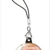 We Never Learn: Nendoroid Plus Can Strap Rizu Ogata